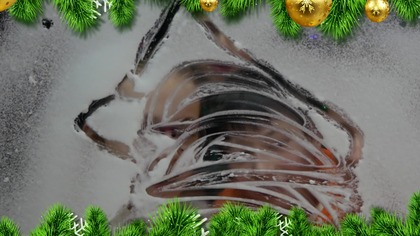 Oto o północy - w wykonaniu młodzieży oraz zespołu rodzinnego Nadzieja z Markuszowa.