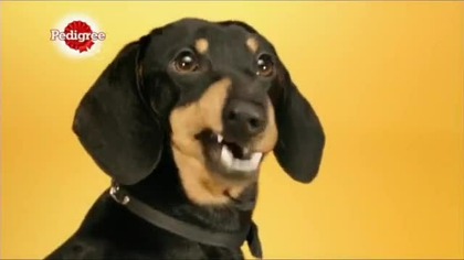 Nova Cinema Czech [09.07.2015] - Continuity