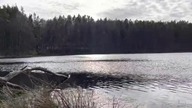 Nad wodą