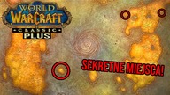 To powinno być dodane do WoW Classic Plus!