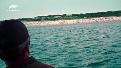 ANIMALPLANET - 27-02-2026 - Powrót po awarii, Zapowiedzi, Sponsorzy, Reklamy