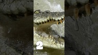 3 Ciekawostki o Paragwaju