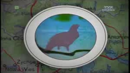 Park Narodowy Bory Tucholskie (2005) [PL]