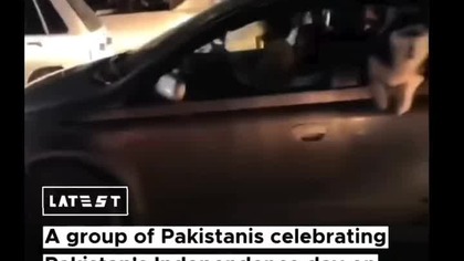 muzułmanie kontra piesek