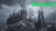 Zwierciadło Ain Eingarp - HARRY POTTER I KAMIEŃ FILOZOFICZNY #8