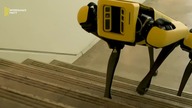 Roboty Które Są Najbardziej Zaawansowane Na Świecie