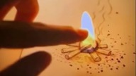 #magic #days
