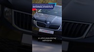KRÓLOWA LEWEGO PASA  #shorts #motoryzacja #skodaoctavia