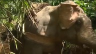Mordercze Przeprawy LAOS.  Dokument