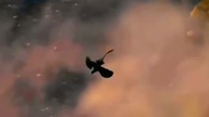 #toothless #shorts #toothless10 #nightfury #fyp #httyd3 #howtotrainyourdragon #httyd #toothless