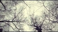 Franko ft. Paweł Rak - Szczęśliwy Żyj