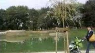 Bytom - park.