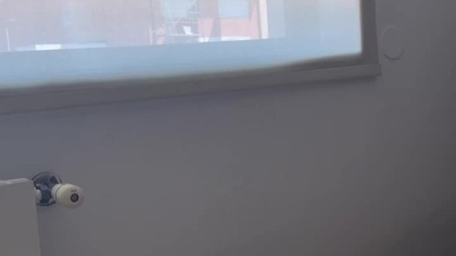 Happy Dog (August 2025)