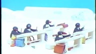 Pingu (Odcinek 25) - Nowa koleżanka w szkole