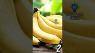 3 CIEKAWOSTKI O BANANACH