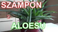 Rób dowolne szampony ziołowe, to proste i tanie.  Aloes.