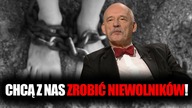 Korwin-Mikke: Chcą z nas zrobić niewolników! \\ Wolność TV