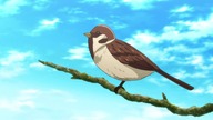 Nisekoi2x01 HD lektor