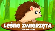 Leśne zwierzęta dla dzieci - Ciekawostki