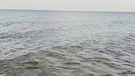 28 września na plaży w Mielnie (Łazach) - pożegnanie z Bałtykiem, latem, plażą!