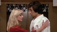 Revenge. of. the. Ninja. 1983.pl. DVDRip. XviD-LMR