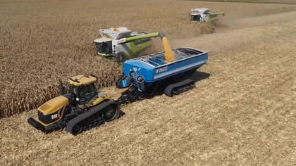 Harvest in Halton Hills