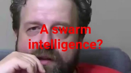 panie Krzysztofie Woźniak a inteligencja rojo to si?