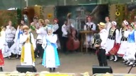Sokoły