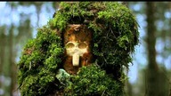 Jakub Nox Ambroziak - Treebeard in the Dead Wood (Interfusion Remix)
