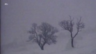 David Essex - A Winter Tale