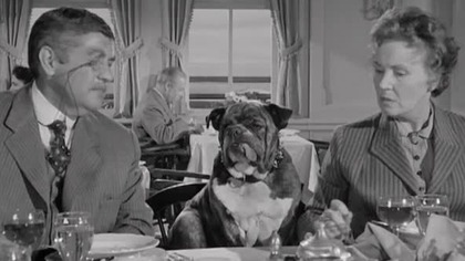 Statek szaleńców 1965 lektor pl