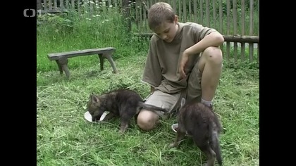 Br&aacute;&scaron;kov&eacute; - 3/7 Př&iacute;běh třet&iacute;