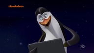 Pingwiny z Madagaskaru dubbing pl S03E13