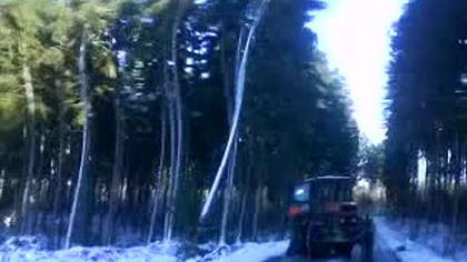 Drzewo spada na drogę