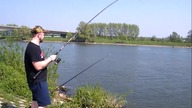 Rzeczne Leszcze nad rzeką Maas, wyprawa do Holandii