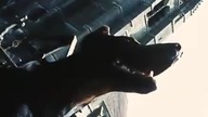 Doberman part 1