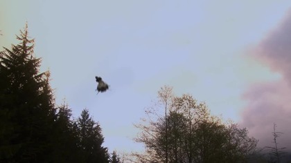 [s04e04] Nietypowy bohater