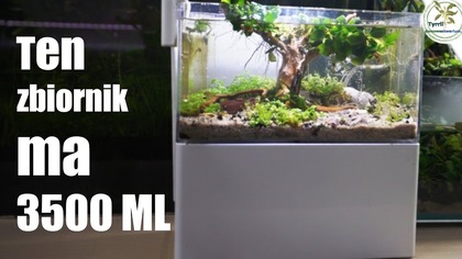 Zakładamy akwarium z sumpem.