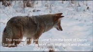 Werewolf Lore - The Lycantropic Meditation of Denny Sargent