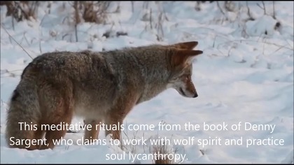 Werewolf Lore - The Lycantropic Meditation of Denny Sargent