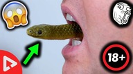 WĄŻ W RZYMIE!? - 10 CIEKAWOSTEK  #1