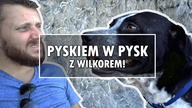 WIELKI PIES WKRADA SIĘ NAM DO DOMU +jak go nazwać  KOSTARYKA [11]