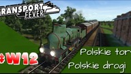Transport Fever PL - NiedzielnyW. - Kontynuujemy wakacyjną serię - #12