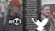 zwiastun nowej pyty
