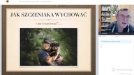 Jak wychować szczeniaka.  Q&A