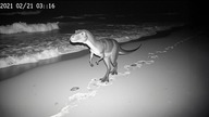 30 Najbardziej Przekonujących Spotkań z Dinozaurami Uchwyconych na Kamerze