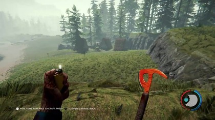 The Forest