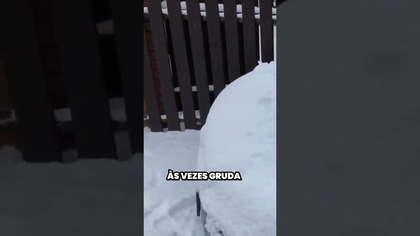 Neve cai dentro do carro ao abrir a porta #shorts