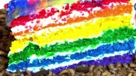 Rainbow cake vs Maggots Mealworms #closeup #mealworms #rainbowcake