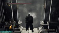 Twin Dragonriders NG+7 - Boss Fight - Dark Souls II SOTFS